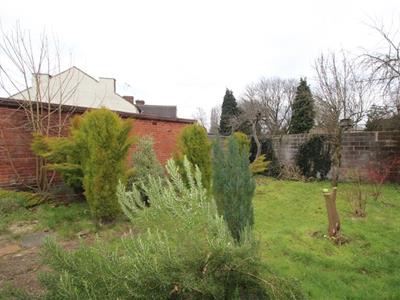 Picture 8